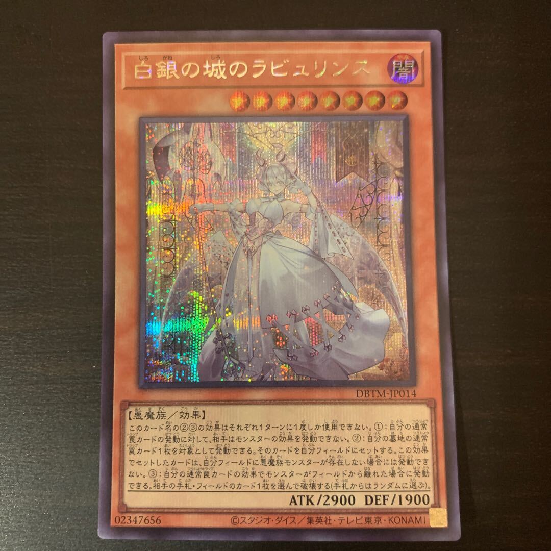 白銀の城のラビュリンス