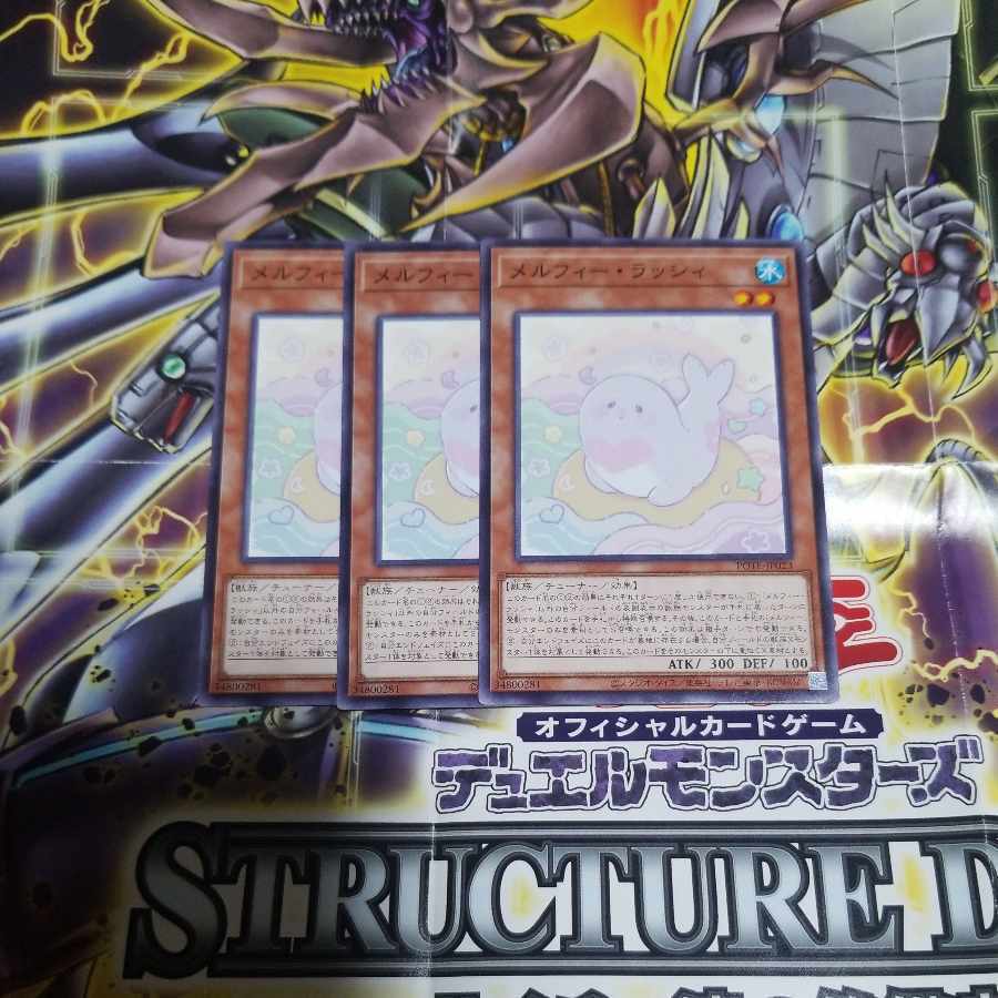 メルフィー・ラッシィ