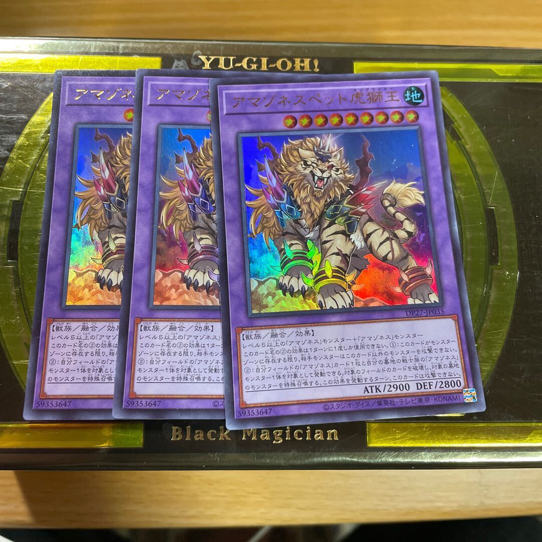 アマゾネスペット虎獅王