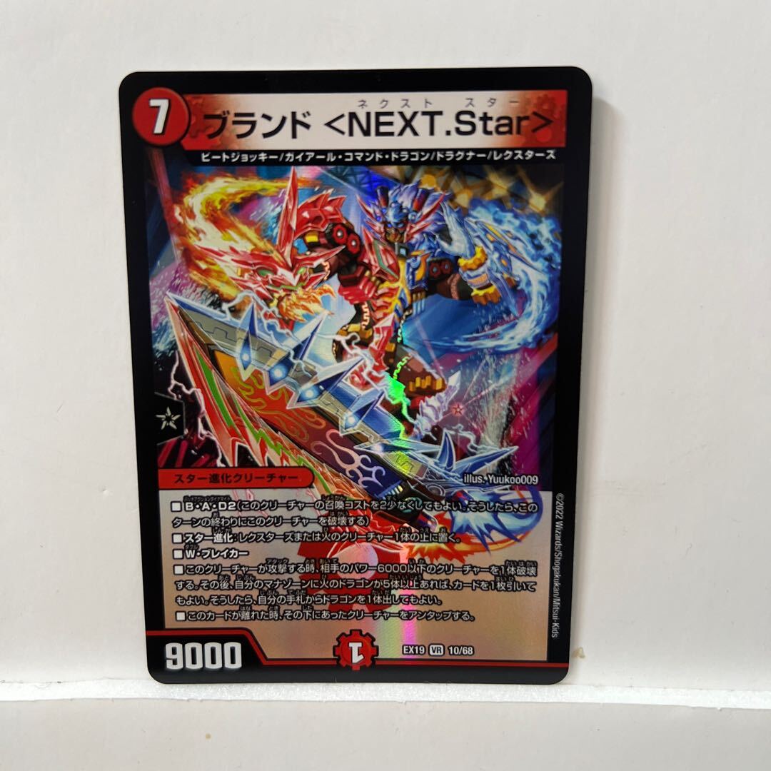 ブランド ＜NEXT.Star＞