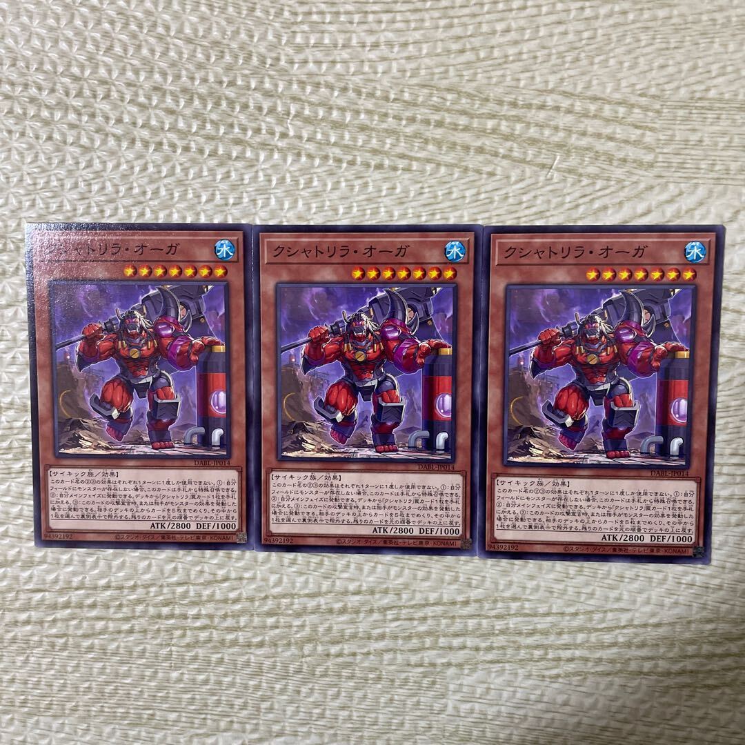 クシャトリラ・オーガ