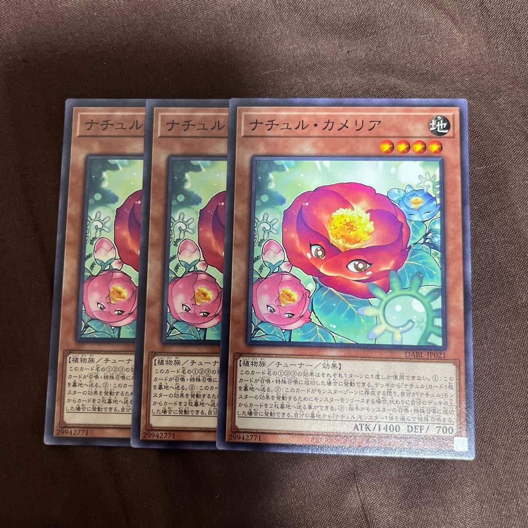 ナチュル・カメリア