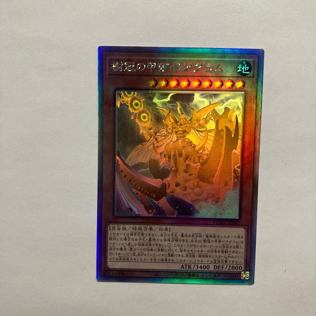 樹冠の甲帝ベアグラム