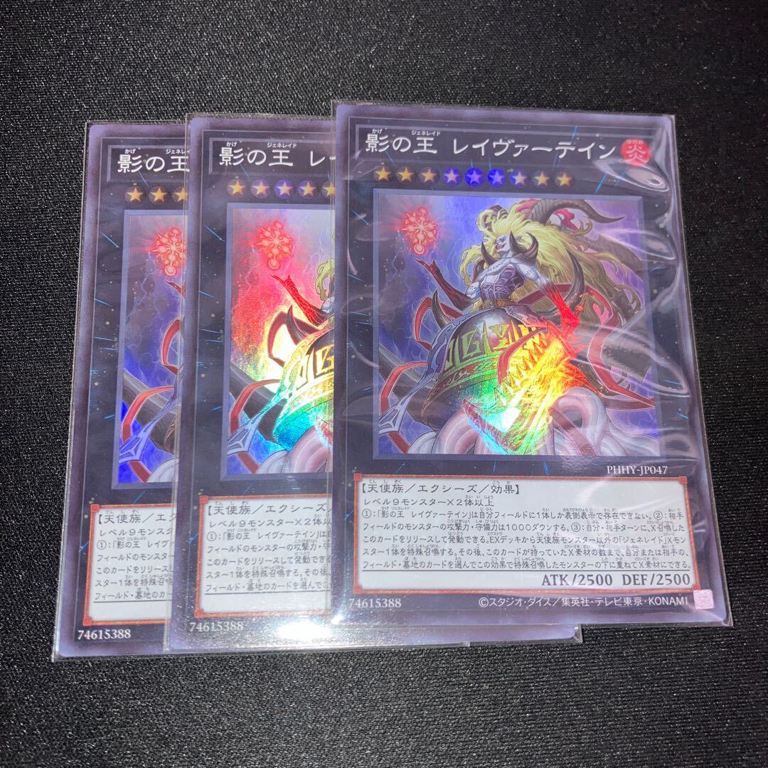 影の王 レイヴァーテイン