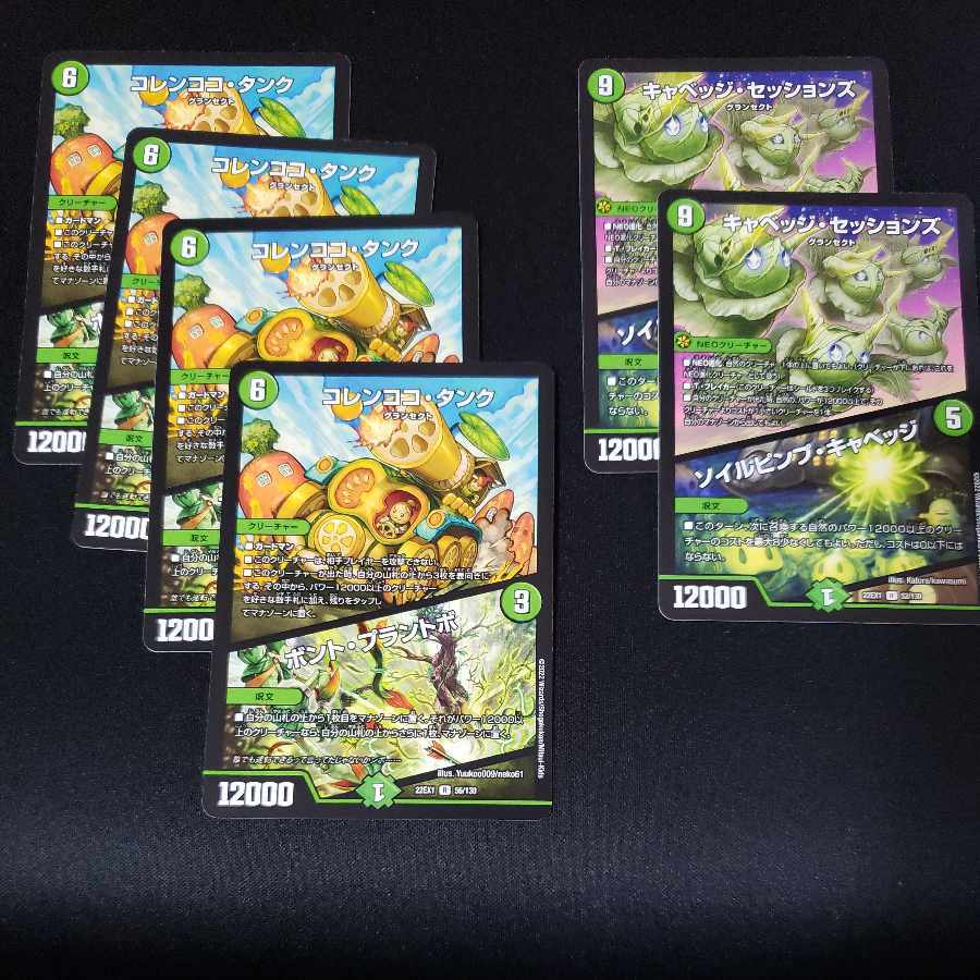 キャベッジ・セッションズ｜ソイルピンプ・キャベッジ