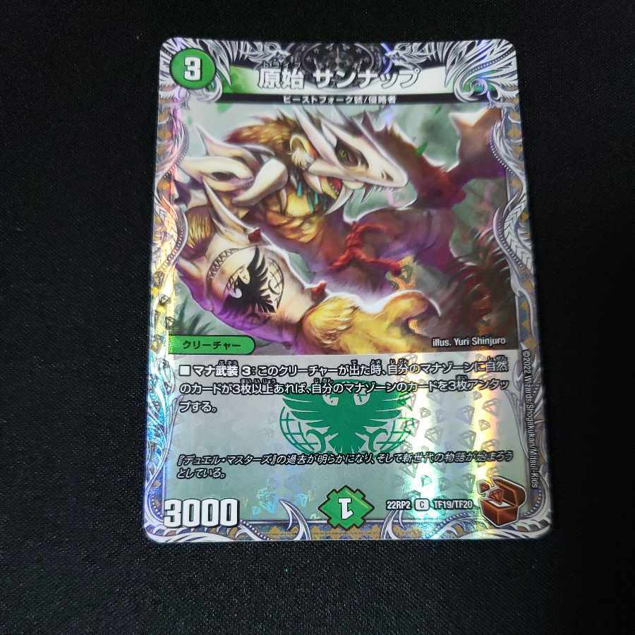 原始 サンナップ(銅トレジャー)