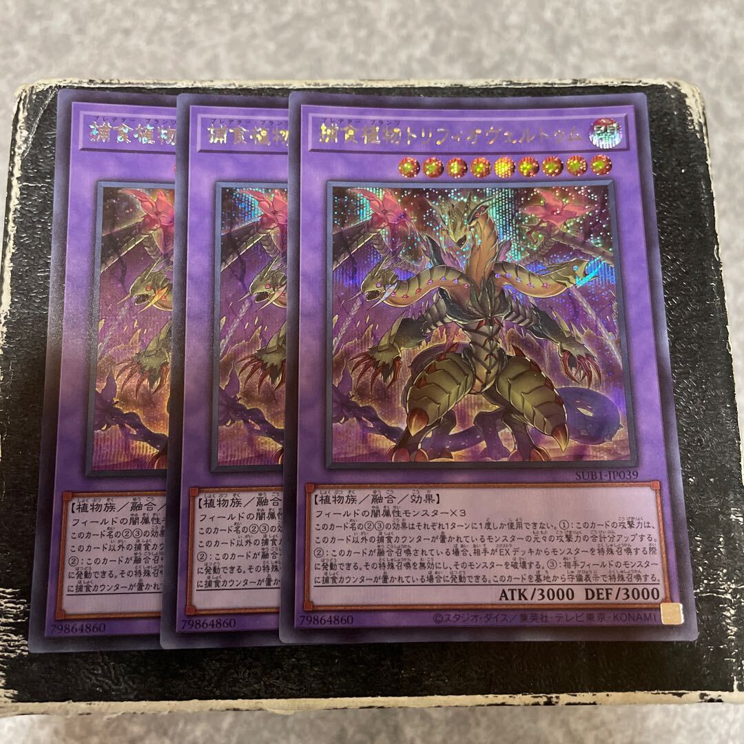 捕食植物トリフィオヴェルトゥム