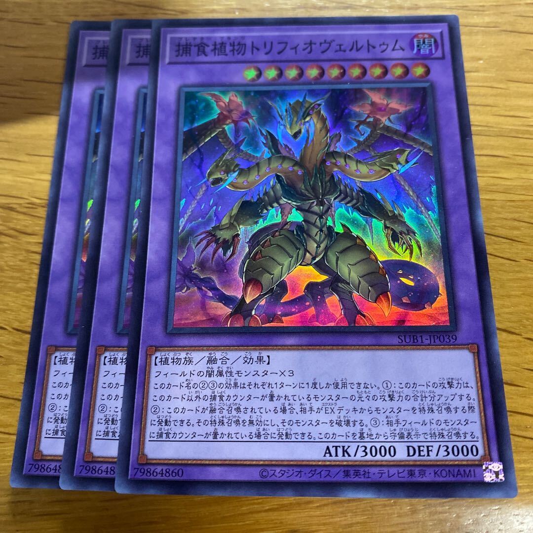 捕食植物トリフィオヴェルトゥム