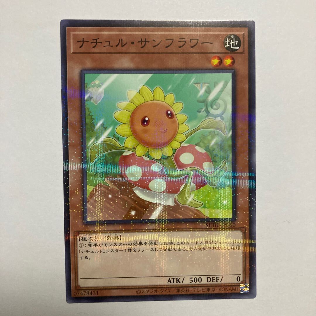 ナチュル・サンフラワー