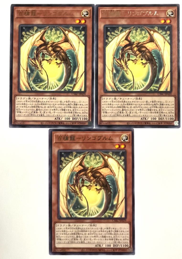 百檎龍-リンゴブルム