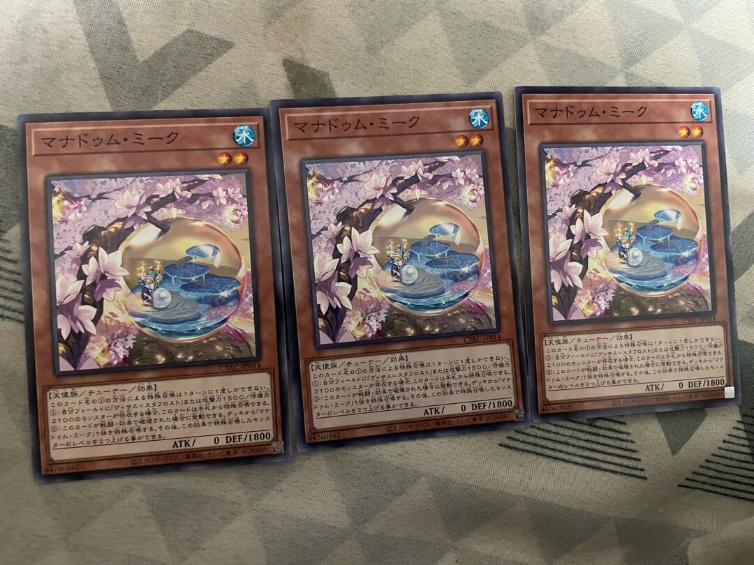 マナドゥム・ミーク