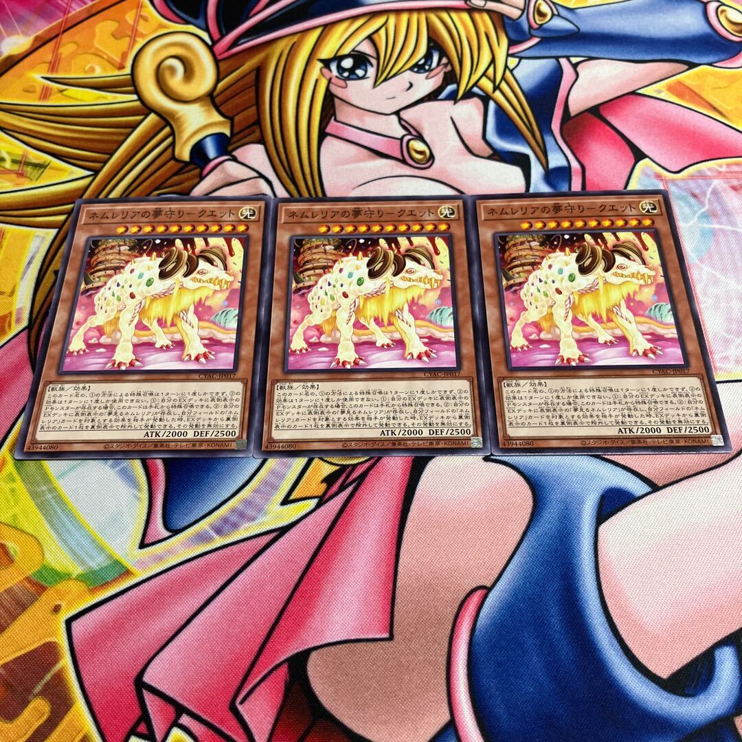 ネムレリアの夢守り-クエット