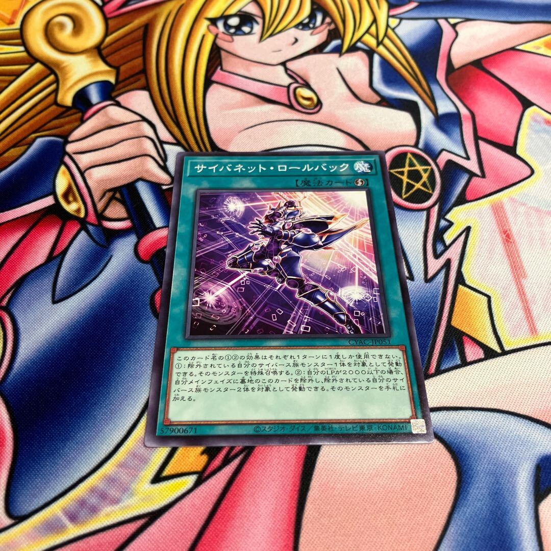 サイバネット・ロールバック