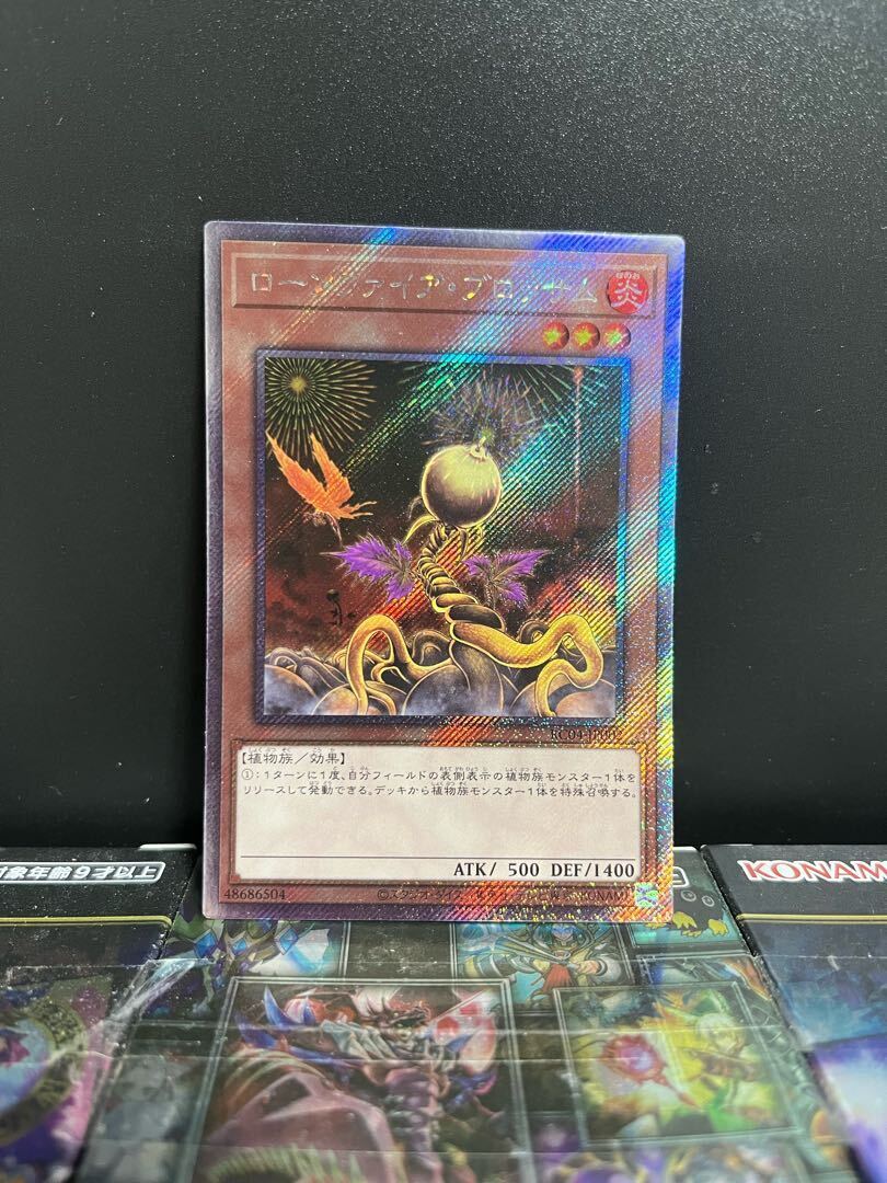 ローンファイア・ブロッサム