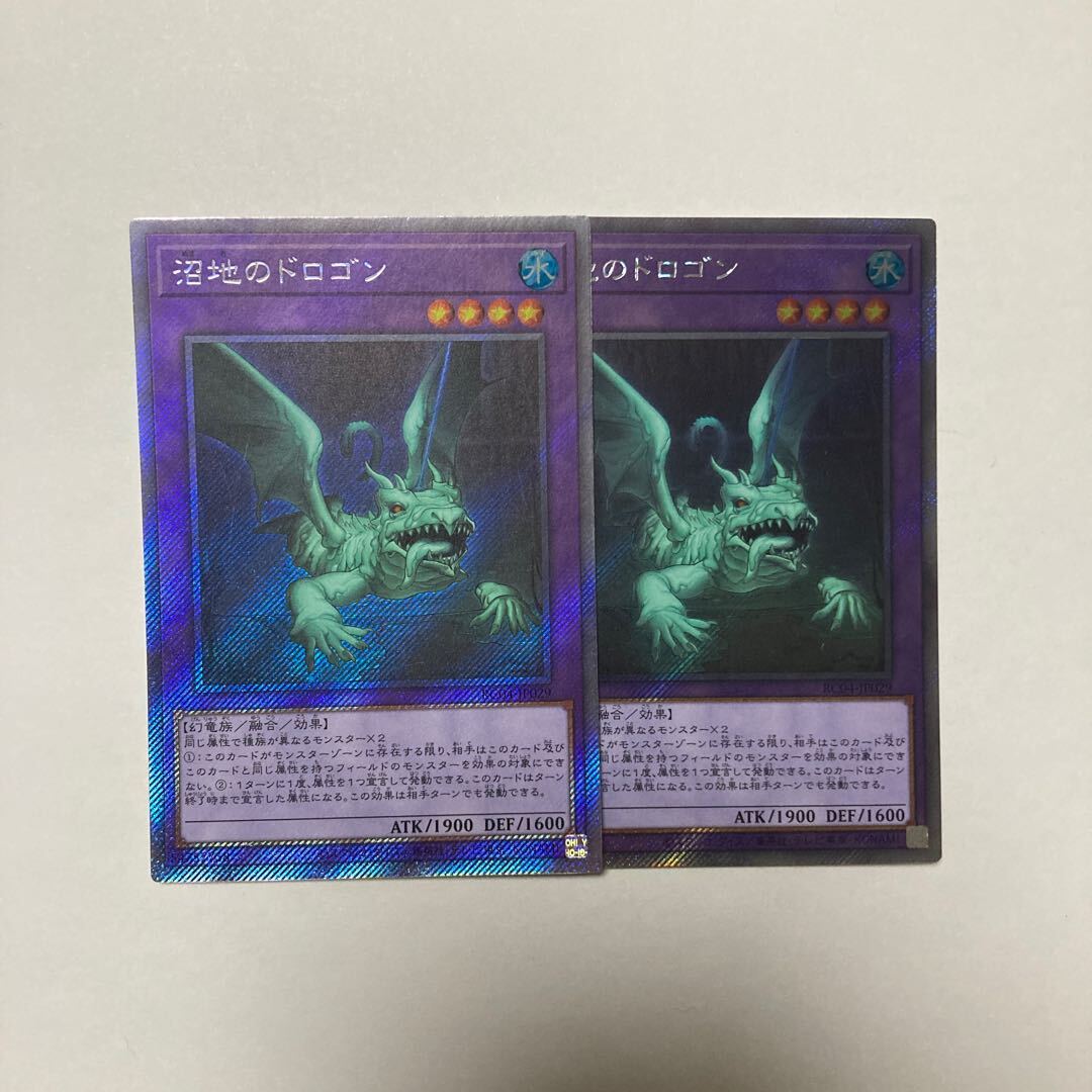 沼地のドロゴン