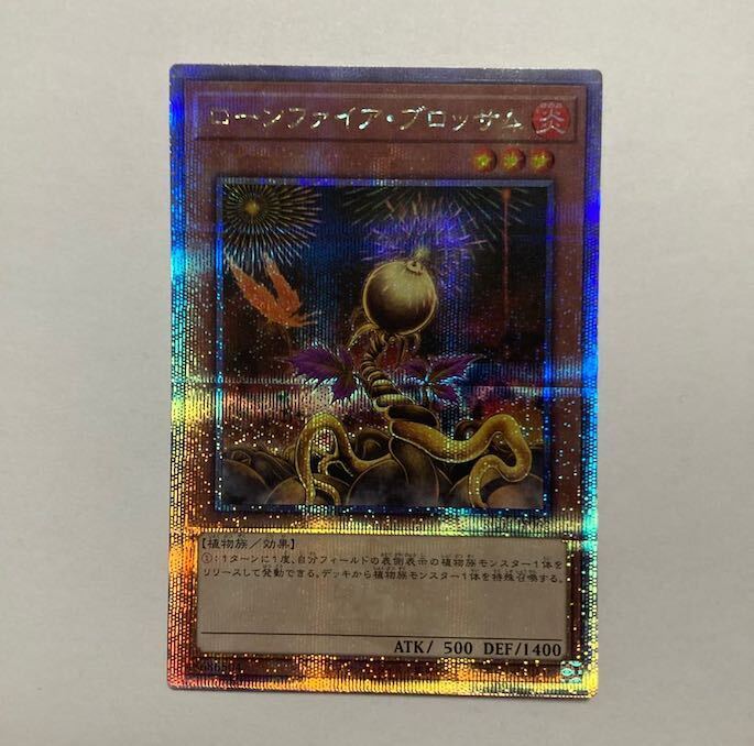 ローンファイア・ブロッサム