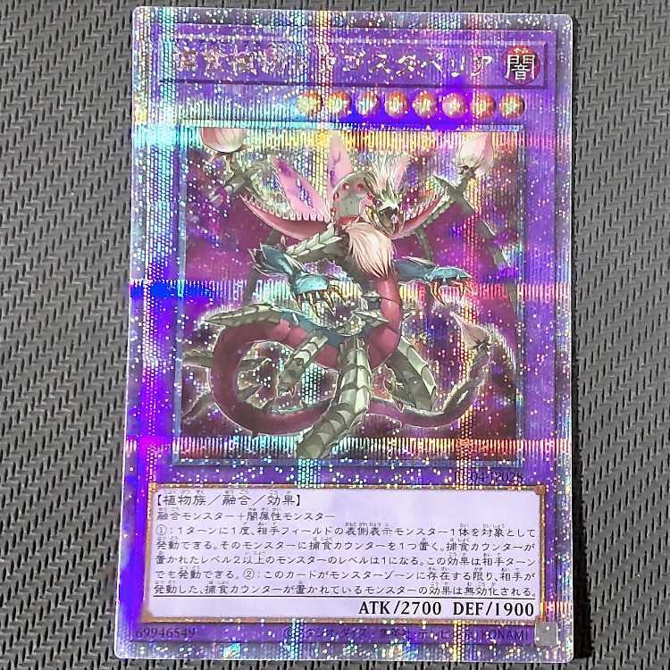 捕食植物ドラゴスタペリア