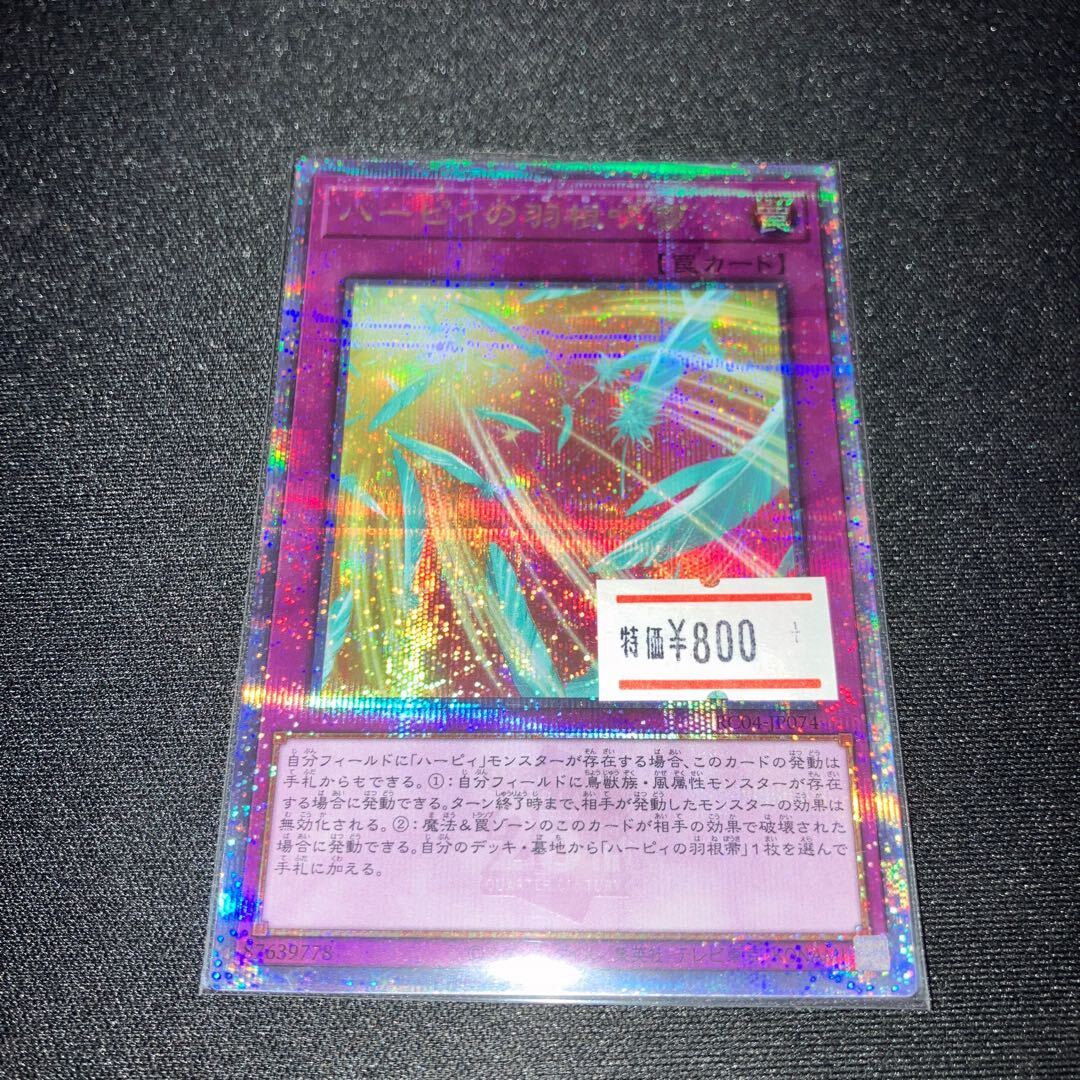 ハーピィの羽根吹雪