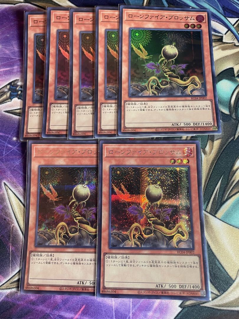 ローンファイア・ブロッサム