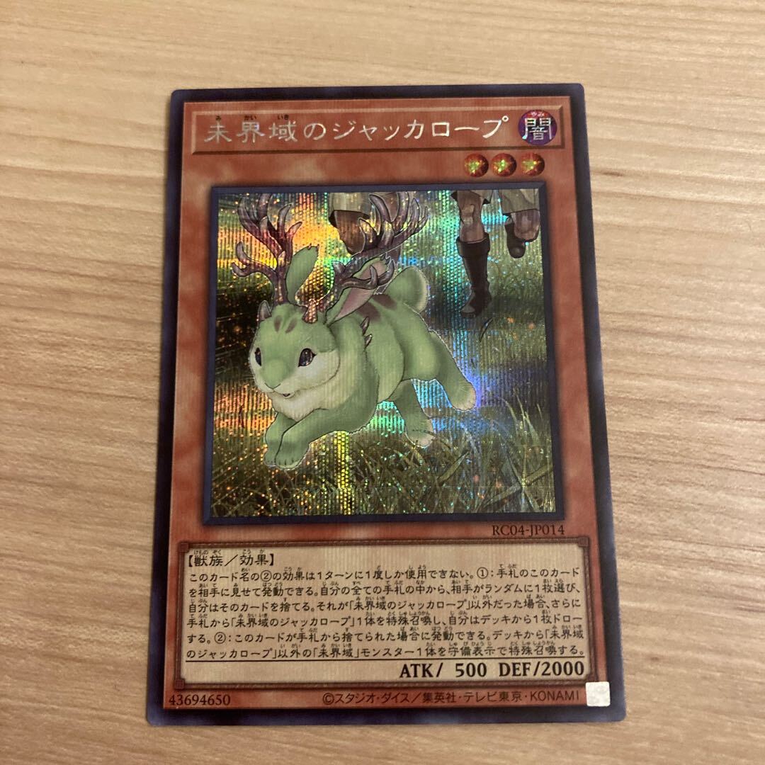 未界域のジャッカロープ