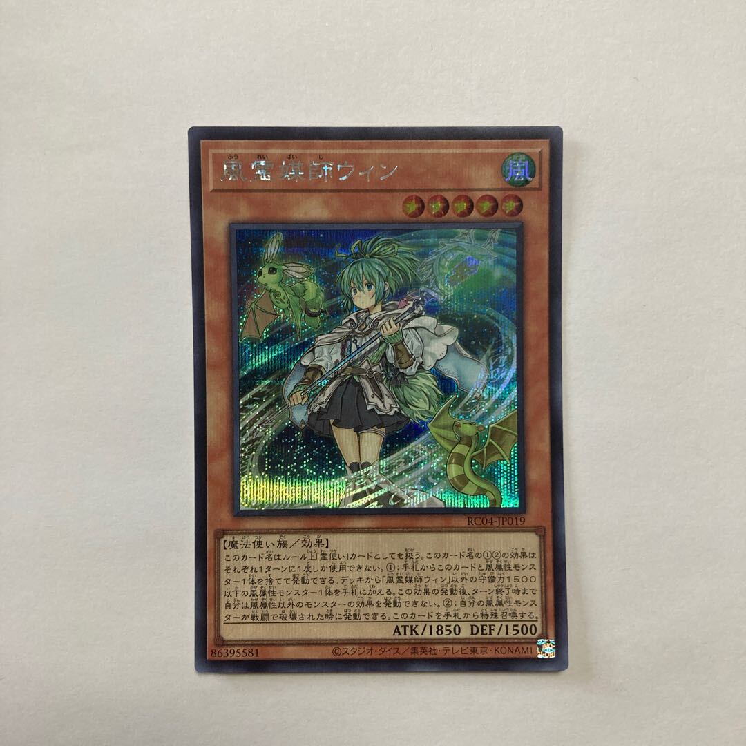 風霊媒師ウィン