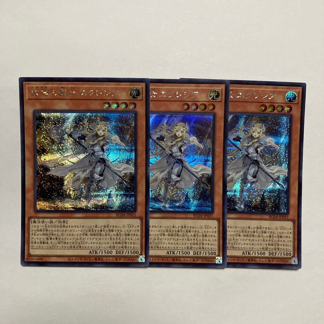 教導の聖女エクレシア