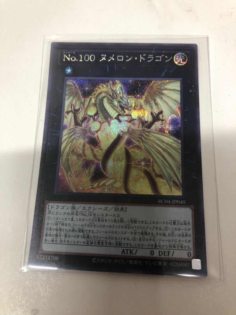 No.100 ヌメロン・ドラゴン