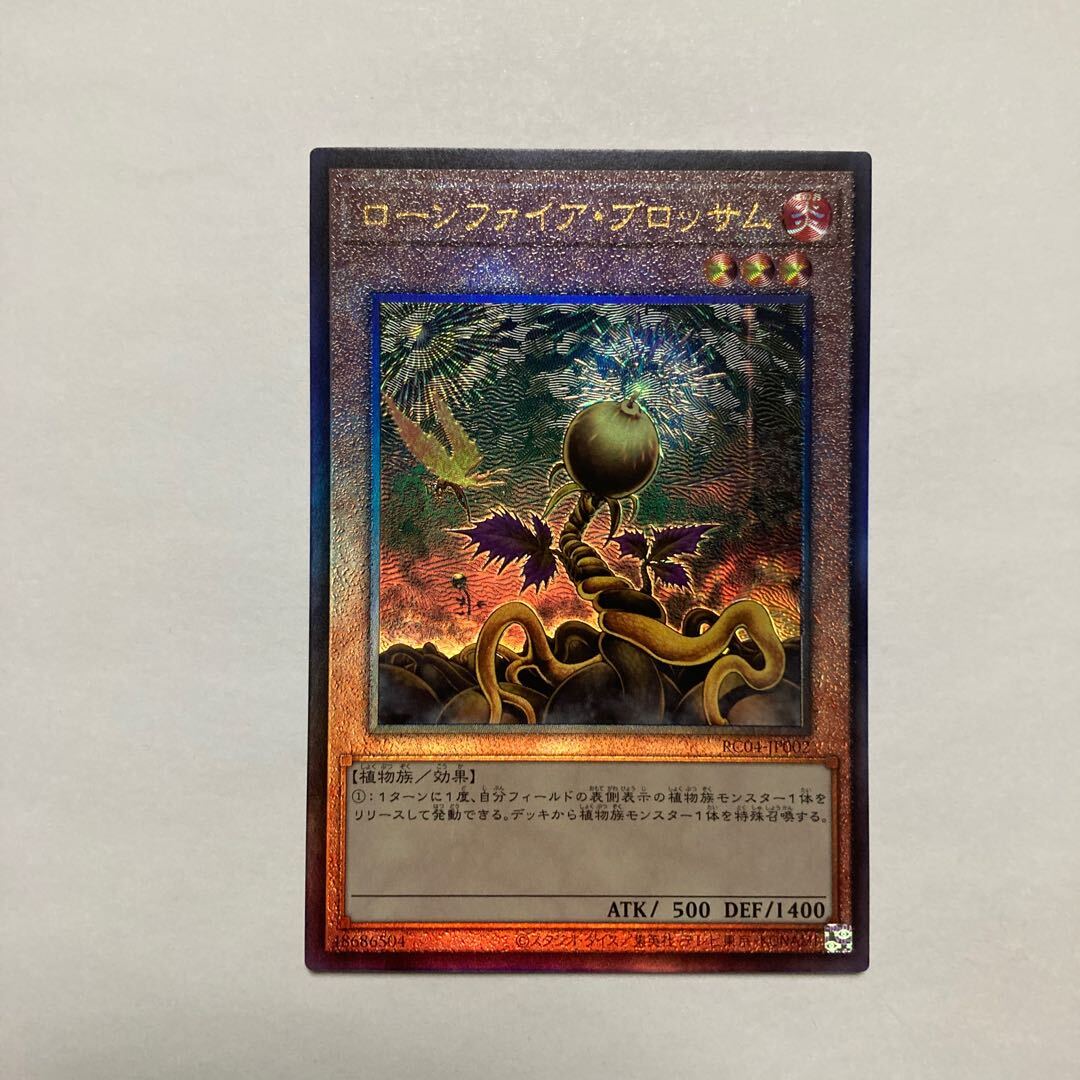 ローンファイア・ブロッサム