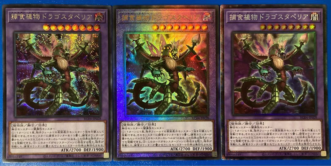 捕食植物ドラゴスタペリア