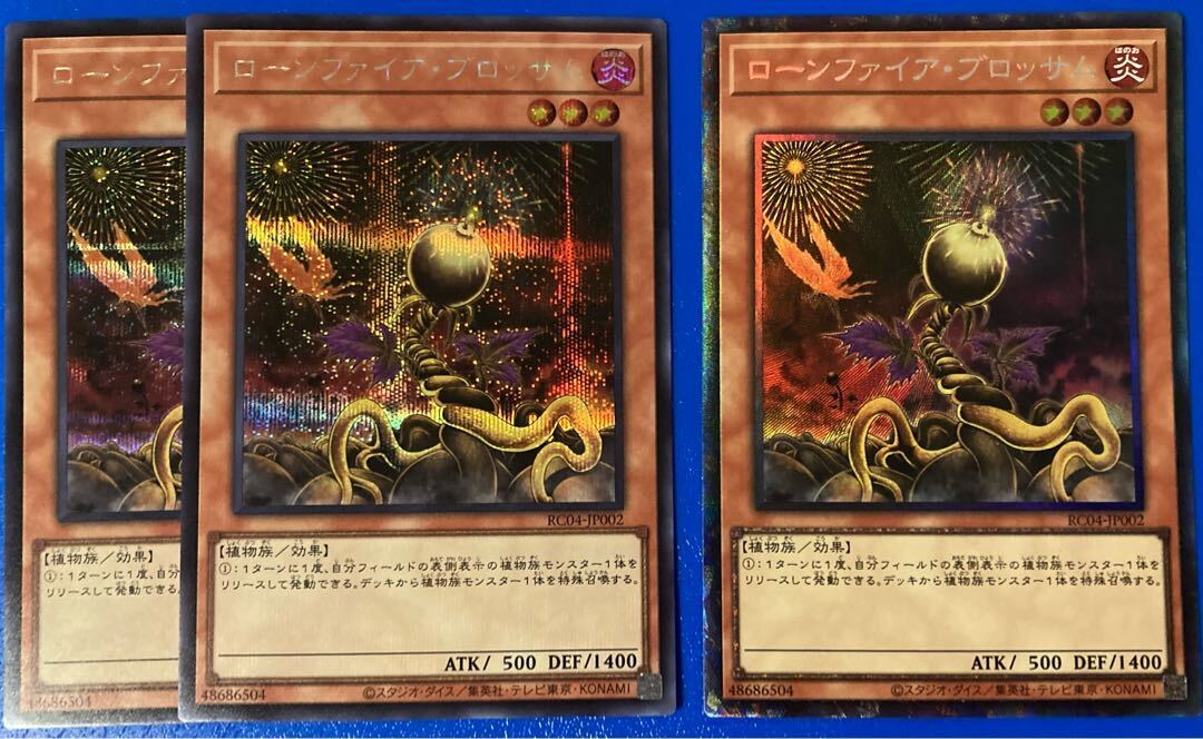 ローンファイア・ブロッサム