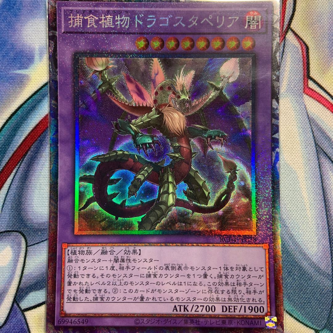 捕食植物ドラゴスタペリア