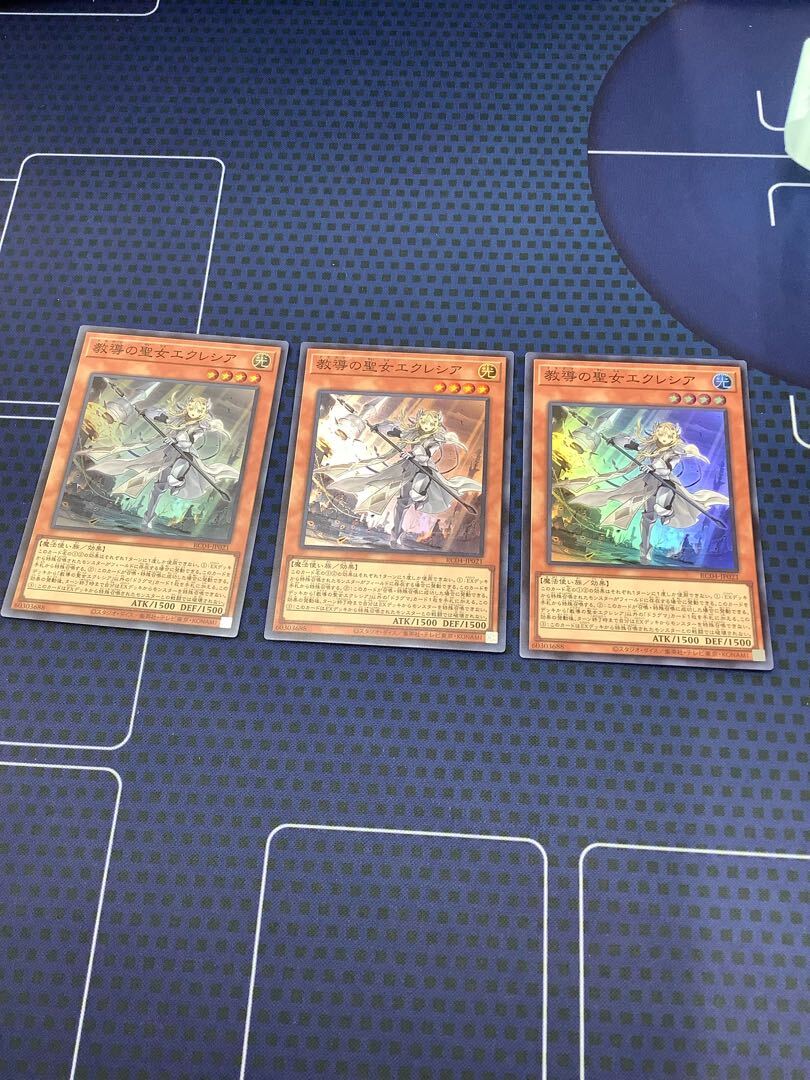 教導の聖女エクレシア