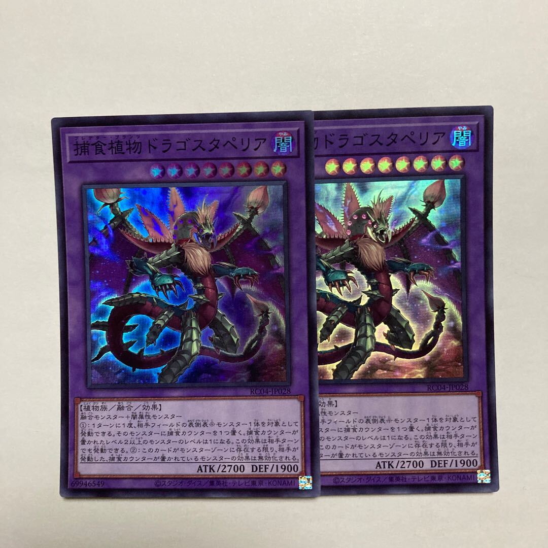 捕食植物ドラゴスタペリア