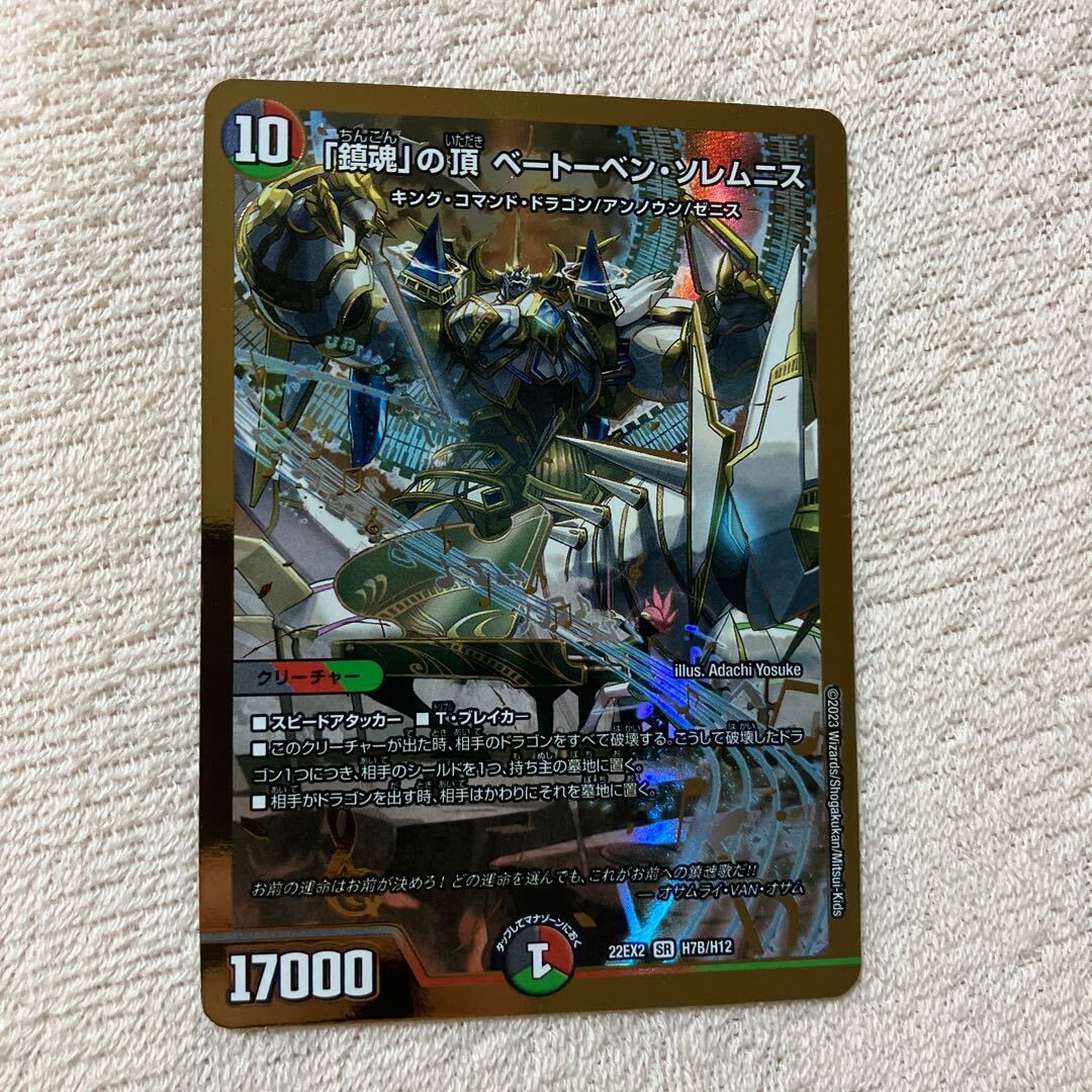 「鎮魂」の頂 ベートーベン・ソレムニス