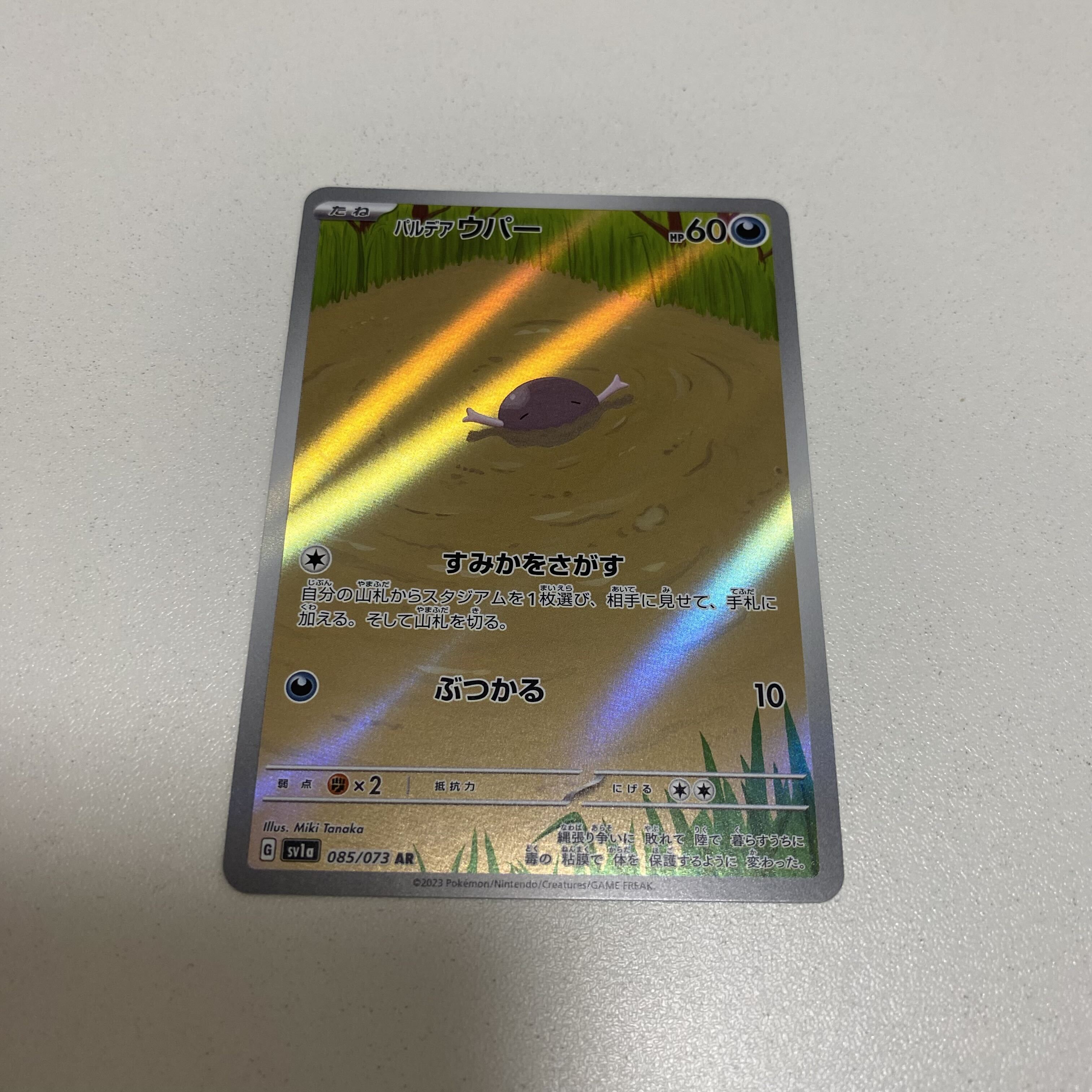 パルデアウパー