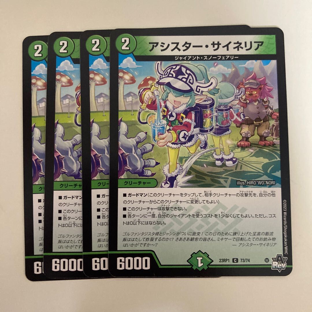 アシスター・サイネリア