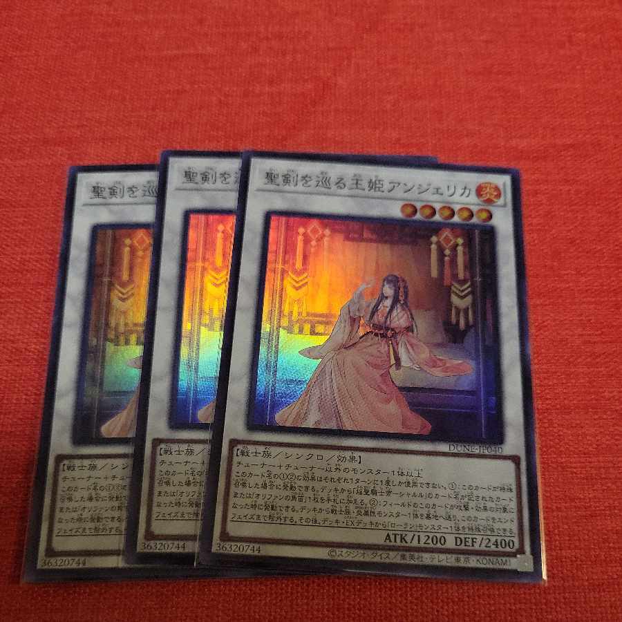 聖剣を巡る王姫アンジェリカ