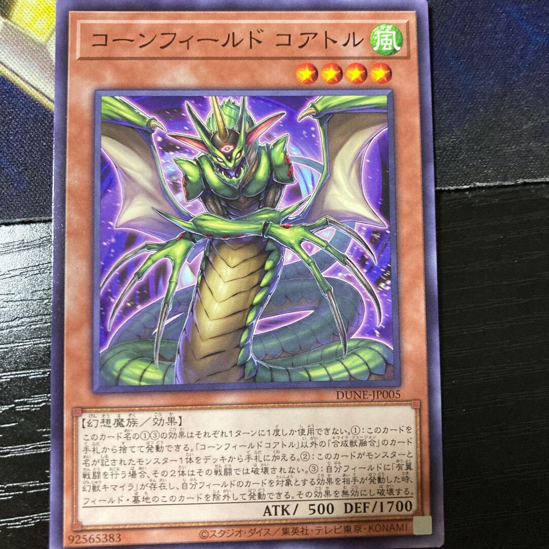 コーンフィールド コアトル