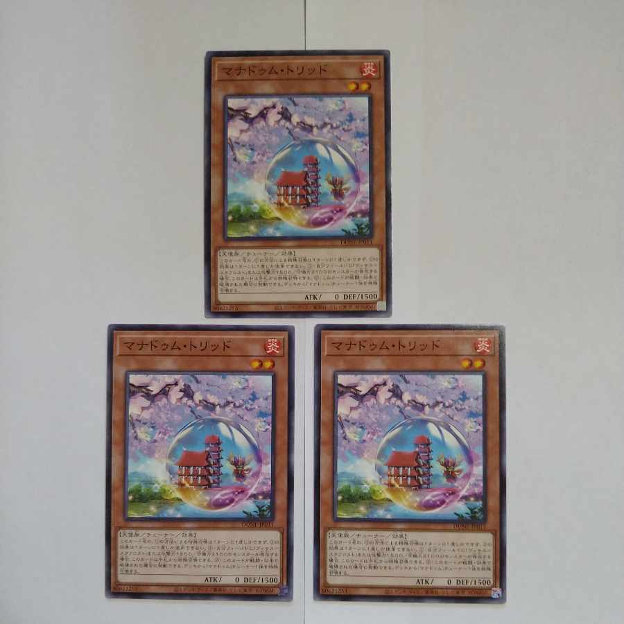 マナドゥム・トリッド