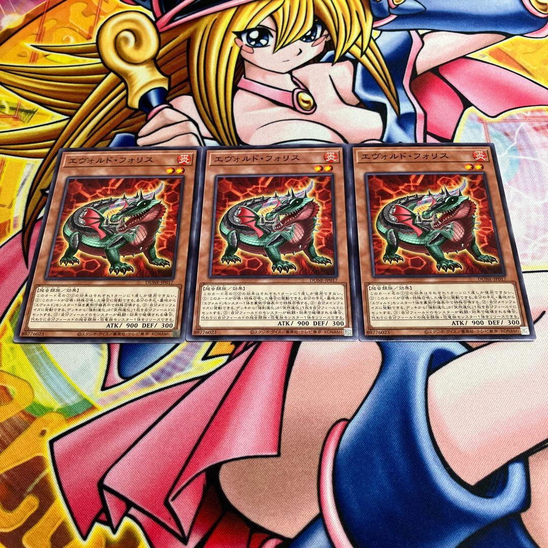 エヴォルド・フォリス