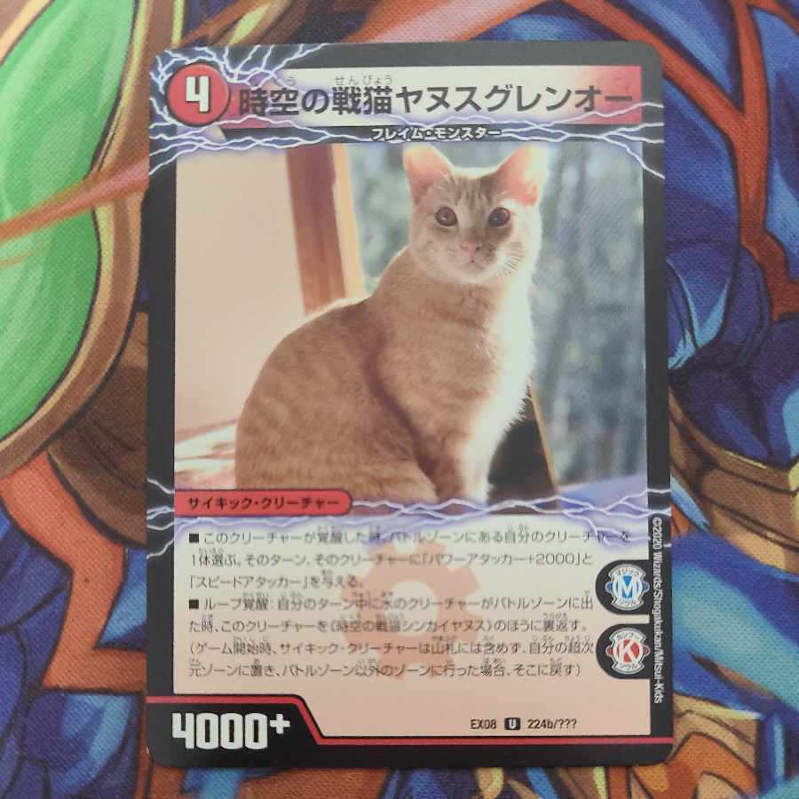 【PSA10】時空の戦猫シンカイヤヌス｜時空の戦猫ヤヌスグレンオー