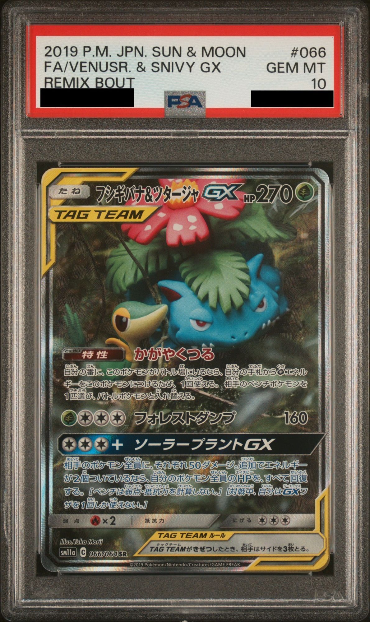 【PSA10】フシギバナ＆ツタージャGX