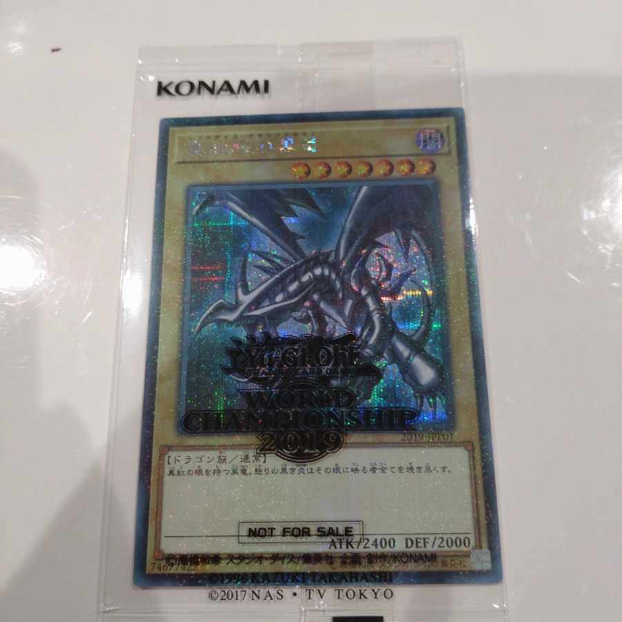 【BGS10】真紅眼の黒竜