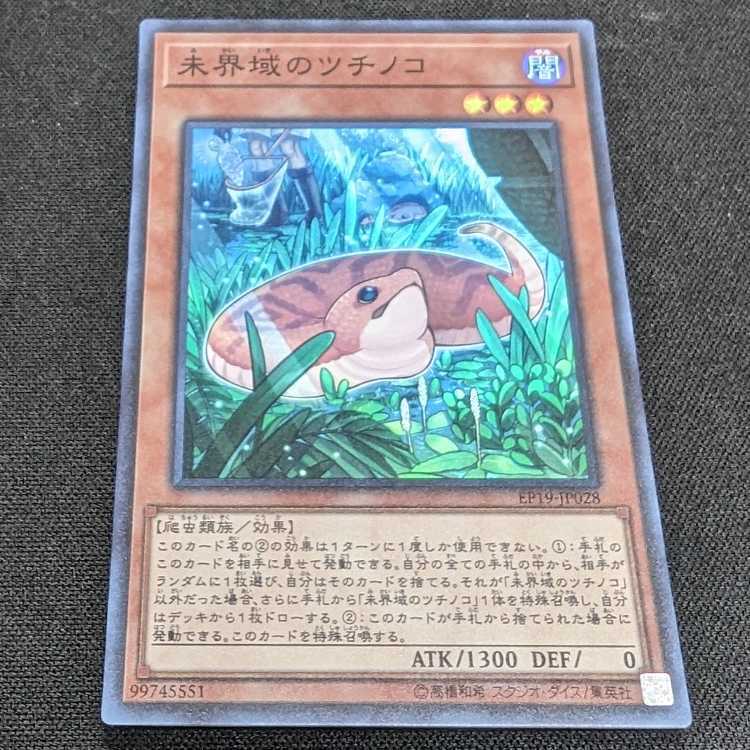 【BGS10】Danger!? Tsuchinoko?