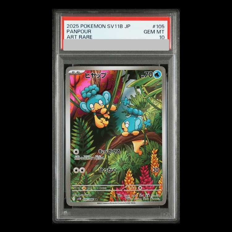 【PSA10】Panpour