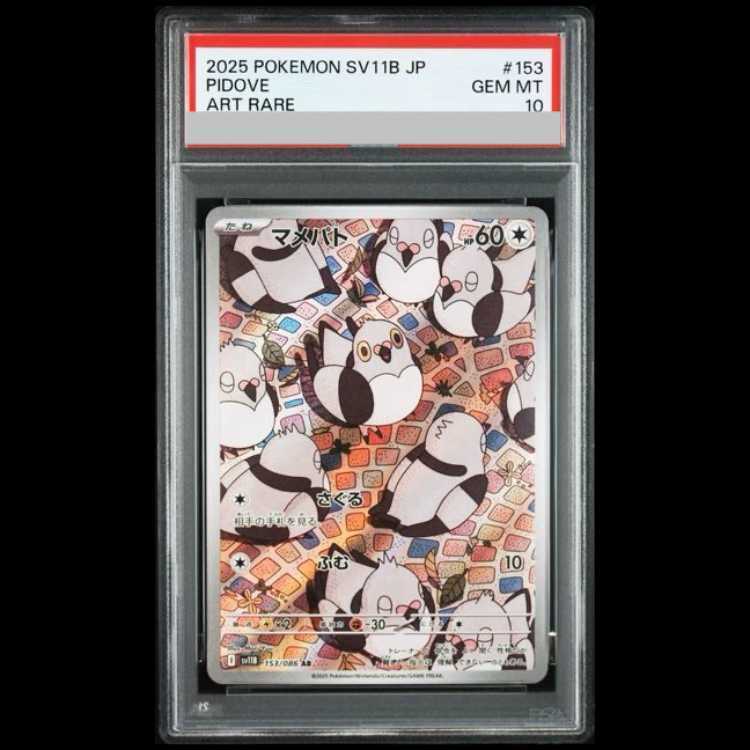 【PSA10】Pidove
