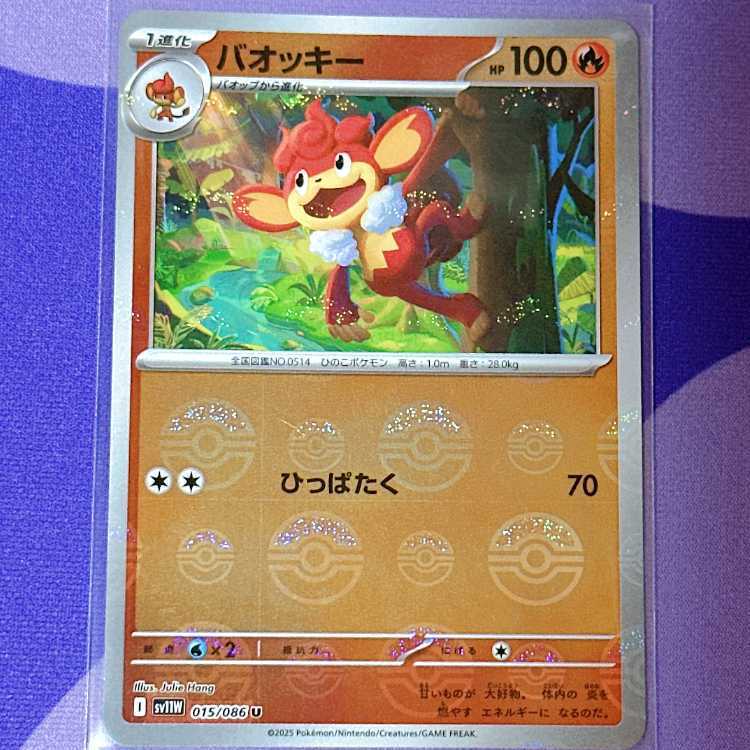 PSA 9 バオッキー　2枚セット Holo Pokémon TCG Professional Sports Authenticator (PSA