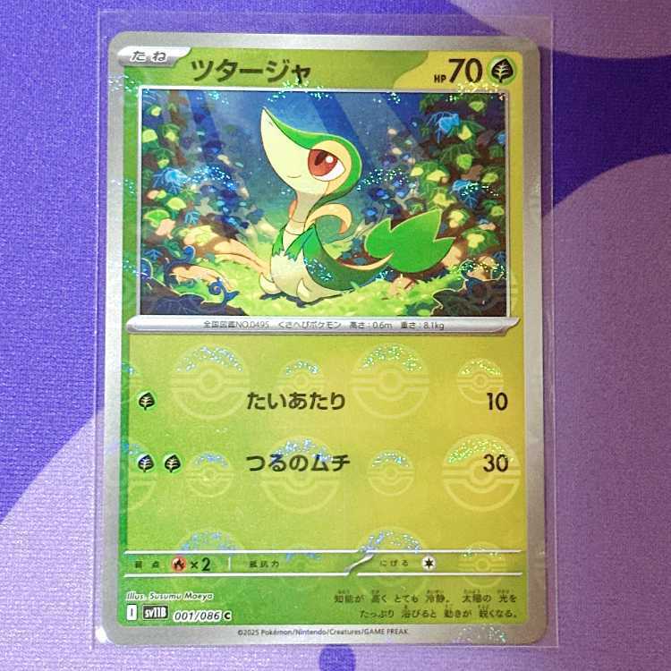 ツタージャ(モンスターボール柄/ミラー仕様)