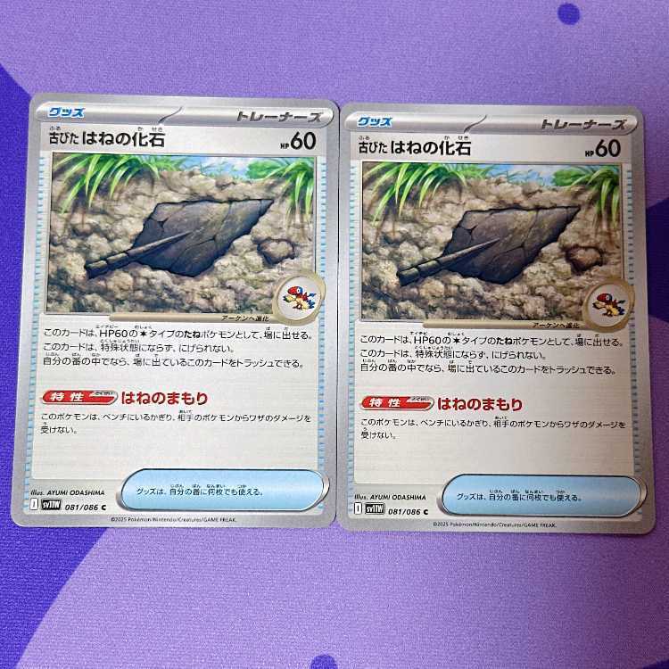 古びたはねの化石