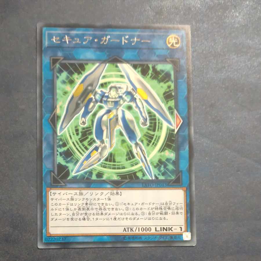 【BGS8】Secure Gardna